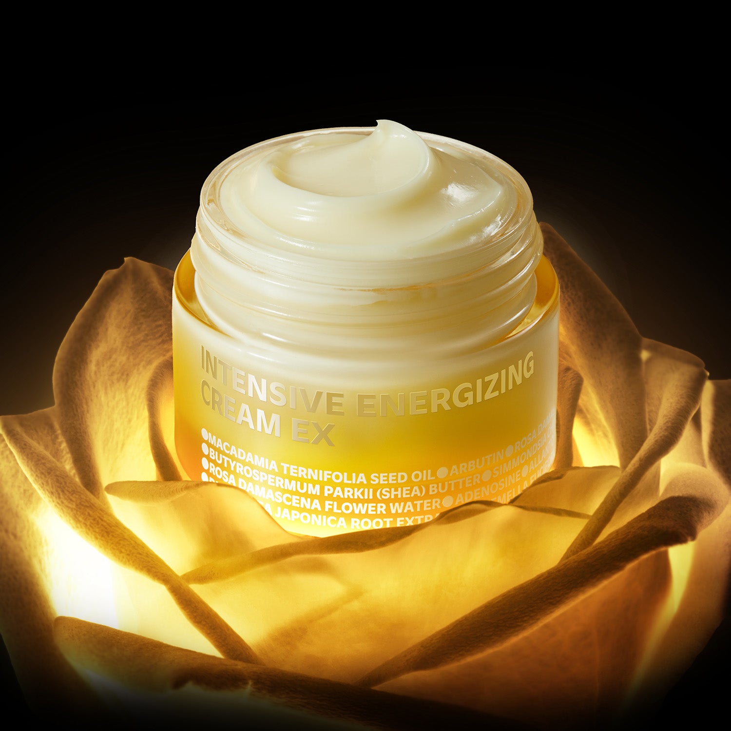 Intensive Energizing Cream EX