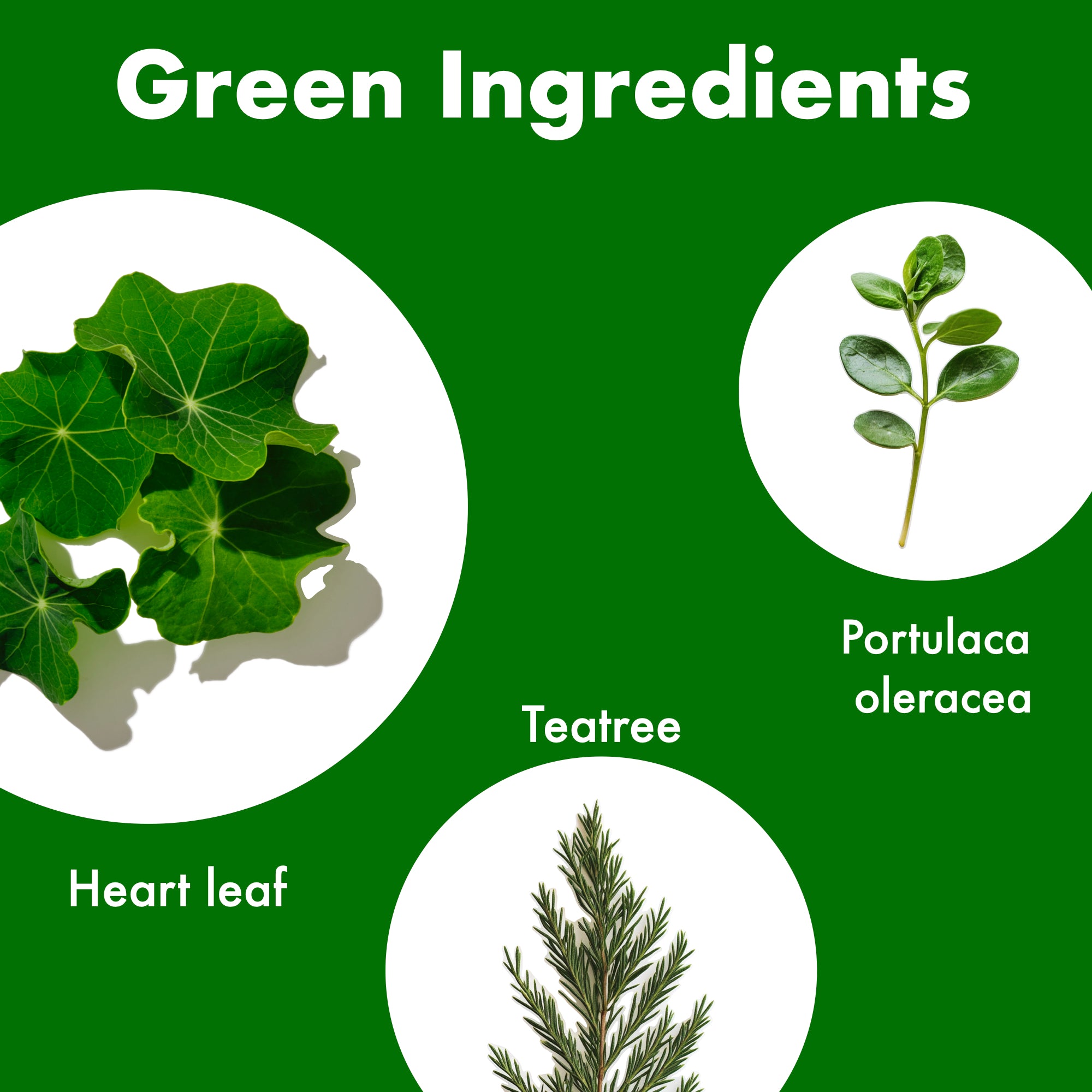 Moisture Dr. Ampoule