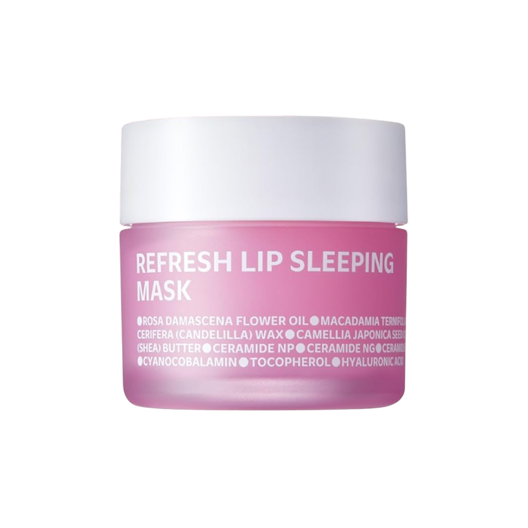 Refresh Lip Sleeping Mask